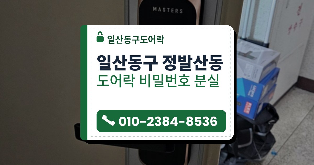 일산동구 정발산동 도어락 비밀번호 분실 — 일산동구도어락 안내 그림